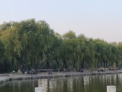 -北陵公园