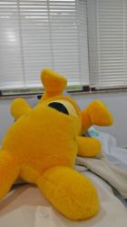 -上海首尔丽格医疗美容医院