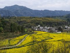-塔川景区