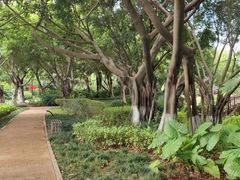 -五缘湾湿地公园