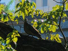 -沐仙湖湿地公园