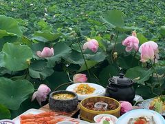 -七的湖·晚芳亭·阳澄湖农家菜·大闸蟹(莲花岛店)