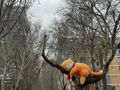 -西安电影制片厂