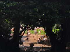 -九龙公园