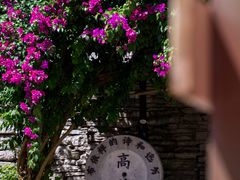 -高荡千年布依古寨旅游景区