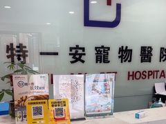-特一安24小时宠物医院·骨科·中兽医