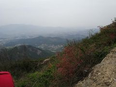 -黄陂区野村谷景区