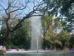 -九龙公园