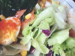 -春草居酒屋·晴子の店