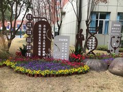 -上海市松江区中心医院