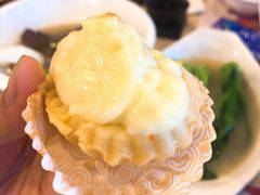 日式青芥三文鱼挞-点都德(聚福楼店)