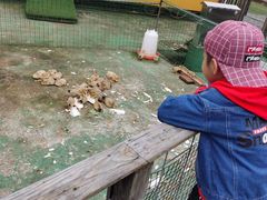 -前小桔亲子创意农场·草莓采摘·露营烧烤