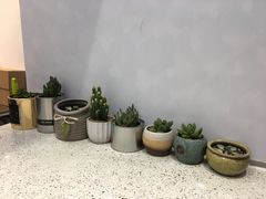 -幸运咖(公园茂直营店)