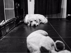 iphone_upload_pic-Strawberry Butterfly草莓蝴蝶日式水果挞