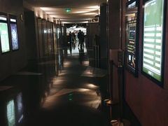 -百美汇影城(LUXE嘉里中心店)