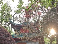 -岳麓山风景名胜区