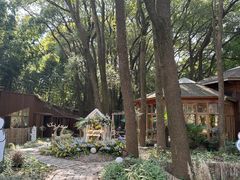 -同里国家湿地公园