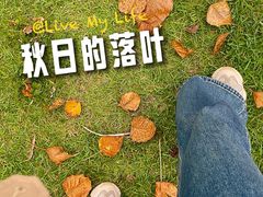 -华侨公园
