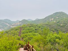-大岭沟猕猴桃谷风景区