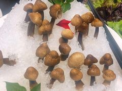 -璞御·海鲜·雪花牛肉局(宾水西道店)