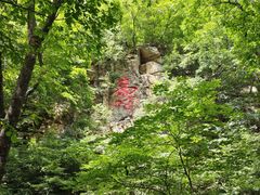 -本溪汤沟绿石谷森林公园