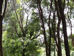 -长白岛森林公园