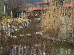 -麦积山温泉