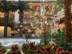 -太湖饭店玉兰厅(自助餐厅)