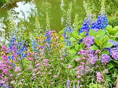 -人民公园(罗湖区)