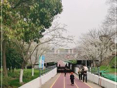 -尚贤河湿地
