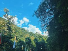-莫里热带雨林景区