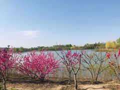 -东郊湿地公园