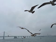 -星海广场