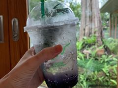 野莓气泡水-Chom Cafe and Restaurant