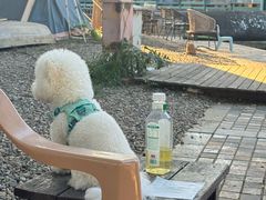 -酷鱼垂钓CLUB(朝阳区博大路店 )