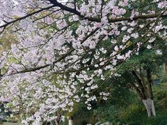 -杭州少年儿童公园