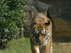 -杭州野生动物世界