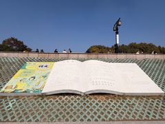 -观潮胜地公园