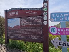 -大围山国家森林公园