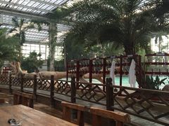 iphone_upload_pic-龙达温泉生态城