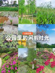 -番禺儿童公园