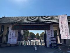 -上海海湾国家森林公园