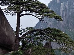 -黄山风景区