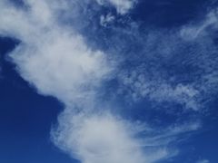 -吉祥馄饨(上海斜土店)