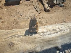 -大连森林动物园