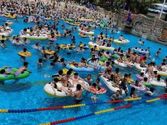 -重庆海昌加勒比海水世界
