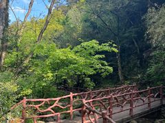 -浙北大峡谷