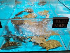 -艳阳天·非遗楚菜(武汉客厅店)