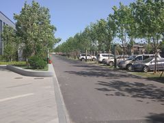 -北京国家会计学院