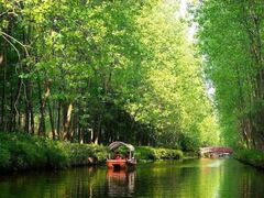 -合肥滨湖国家森林公园